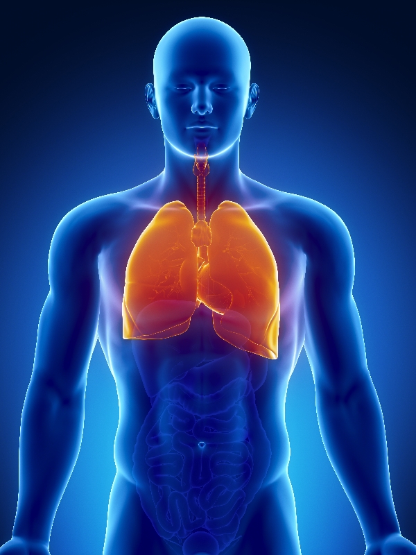 Pneumonia Community Acquired Pediatric Guideline References MIMS Malaysia